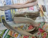 穴子の天ぷら 丼ぶり作り方3写真