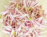 秋！菊の花びらのおひたしです♪作り方2写真