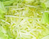 プリプリ♪臭み無し＊コク旨スープのもつ鍋作り方15写真