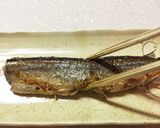 さんまの食べ方 骨抜き一発作り方2写真