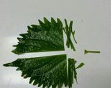 うちの餃子の餡、大葉の場合。作り方8写真
