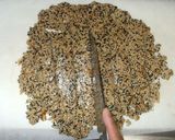 黒ゴマ・白ゴマ・くるみ飴・飴玉・あめ作り方10写真