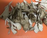 簡単！舞茸とちくわと大豆の塩胡椒炒め作り方2写真