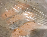 秋の炊き込み♫鮭とれんこんのレンジおこわ作り方7写真