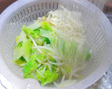 ✿もやしと白菜のおかかポン酢和え✿作り方3写真