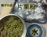 コツあり！簡単羽根つき餃子！作り方3写真
