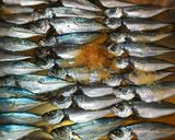 小魚の南蛮漬け作り方1写真