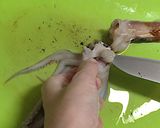 イカのさばき方作り方8写真