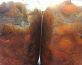 柿だけで作る柿酢作り方4写真