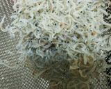 Caたっぷり玉子焼作り方1写真