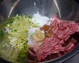 挽肉の肉汁がたまらない　豆腐餅ダシタ風味作り方3写真