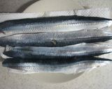秋刀魚の竜田揚げ☆バルサミコマヨネーズで作り方1写真