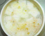 とりひき肉と冬瓜のとろとろ煮♪作り方9写真
