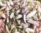 食用菊、かきのもとの茹で方作り方2写真