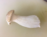 厚揚げとエリンギの豚生姜そぼろあん♪作り方2写真