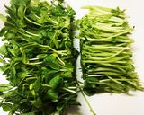 【レンジのみ！】早い♡色鮮やか豆苗和え作り方1写真