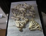 秋の収穫祭サラダ♪作り方4写真
