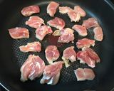 ■鶏肉とネギの簡単手作り塩だれ炒め■作り方3写真