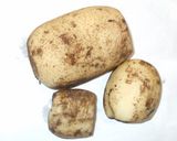 キンピラレンコン♪れんこんの簡単煮物作り方1写真