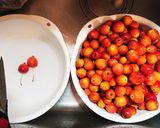 クラブアップルジェリー(ジュレ)作り方1写真