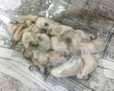 生牡蠣(かき)のポンズおろし和え作り方4写真