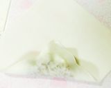 ♡カレーチーズの春巻き♡作り方6写真