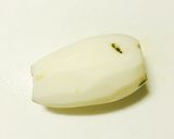 ♡黄金比！蓮根のきんぴら♡作り方1写真