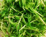 レンジで＊豆苗ともやしの豚肉ミルフィーユ作り方8写真