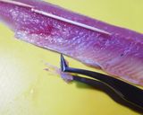 さんま・あじのたたき　我が家流作り方5写真
