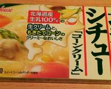 かける派＊夢のシチュー＆カレーハンバーグ作り方24写真