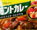 かける派＊夢のシチュー＆カレーハンバーグ作り方25写真