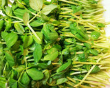 土鍋で簡単！えのきと豆苗のミルクうどん鍋作り方1写真