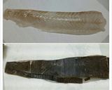簡単･美味しい♪ヒラメの昆布締め作り方2写真
