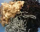 ご飯がすすむ！ひじきとネギのサラダ♪作り方3写真