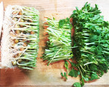 【作り置き】鮭と豆苗の南蛮漬け作り方1写真