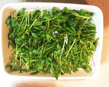 【作り置き】鮭と豆苗の南蛮漬け作り方2写真