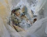 お魚嫌いの方必見！サバの竜田揚げ♪♪作り方8写真