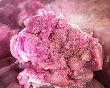 豚・野菜炒め作り方1写真