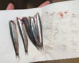 きびなごのてんぷら作り方5写真