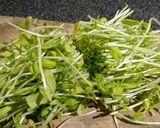 豆苗の炒めナムル作り方1写真