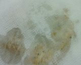 ☆もやしと豆苗の鶏肉おかずサラダ☆作り方10写真