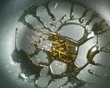 大根葉のシャキシャキ煮作り方2写真