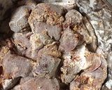 ふつうの味に飽きた!鶏レバーのサザン焼き作り方2写真