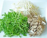 豆苗ともやしのごまみそ鍋作り方1写真