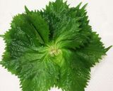韓国風大葉おにぎり♪作り方1写真