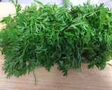 にんじんの葉のナムル作り方1写真