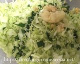 失敗しない！パリッ☆じゅわ～！の焼き餃子作り方2写真