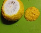 ジップロックde簡単柚子大根の甘酢漬け♬作り方4写真
