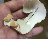 ゆで卵。この隙間でも失敗しちゃう？作り方5写真