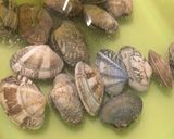 アサリとキャベツの酒蒸し♪作り方1写真